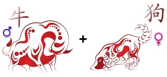 Бык и Собака: совместимость женщины и мужчины в любви и браке