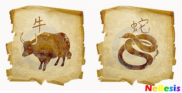 Бык и змея — совместимость мужчины и женщины по гороскопу