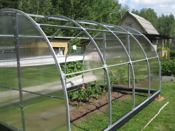 Царский домик: характеристика теплицы с повышенной прочностью