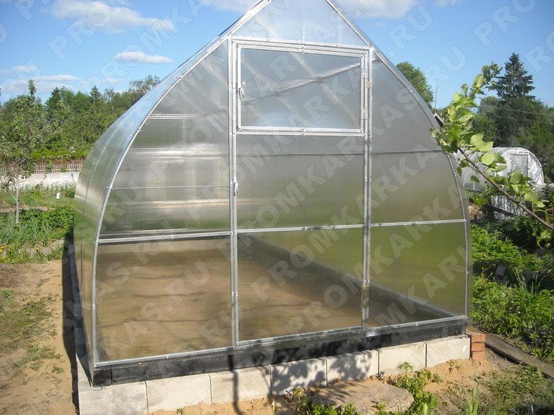 Царский домик: характеристика теплицы с повышенной прочностью