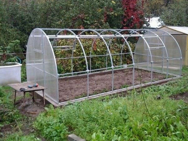 Царский домик: характеристика теплицы с повышенной прочностью