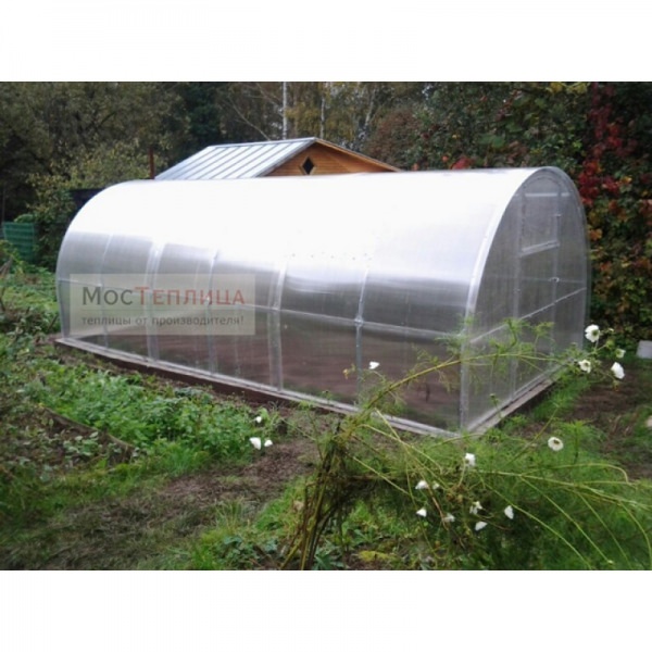 Царский домик: характеристика теплицы с повышенной прочностью