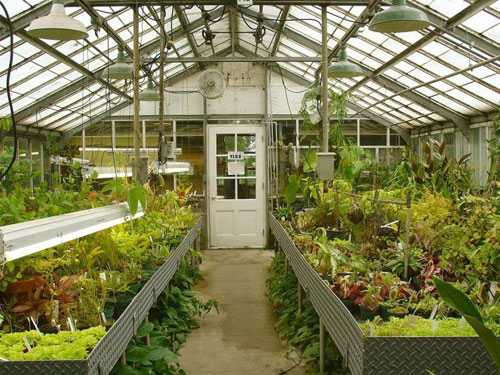 Чем хороши отапливаемые теплицы из поликарбоната?