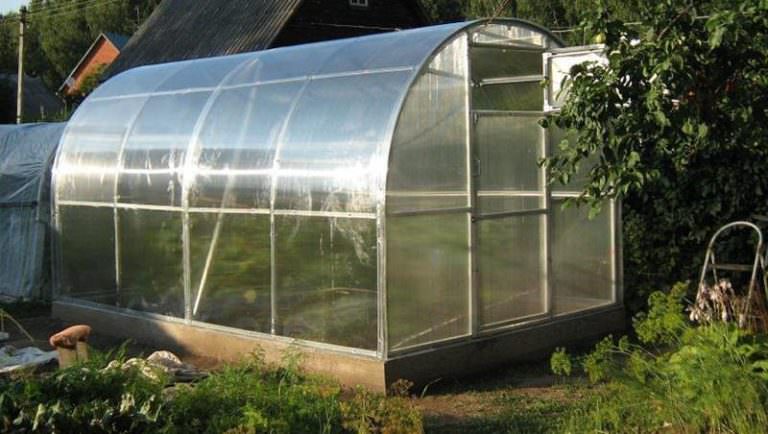 Чем хороши теплицы тэнфи?