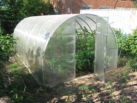 Чем хороши теплицы тэнфи?