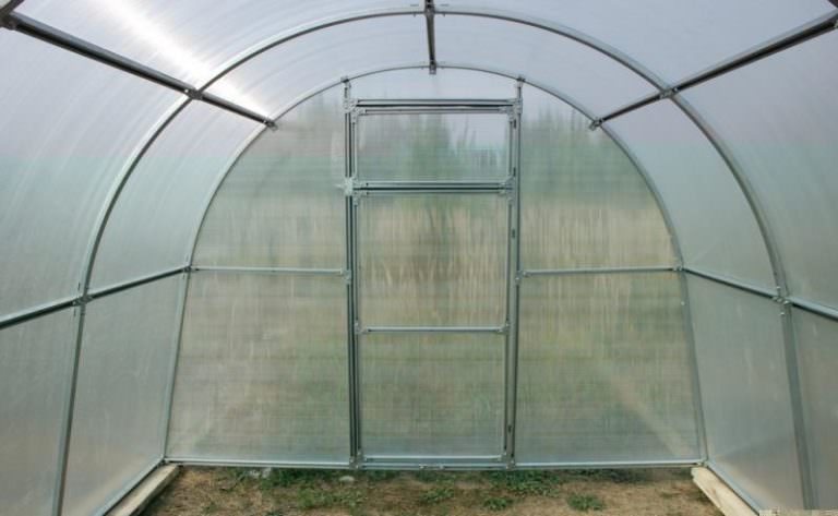 Чем хороши теплицы тэнфи?