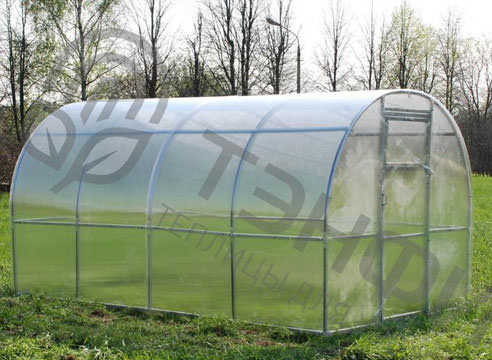 Чем хороши теплицы тэнфи?