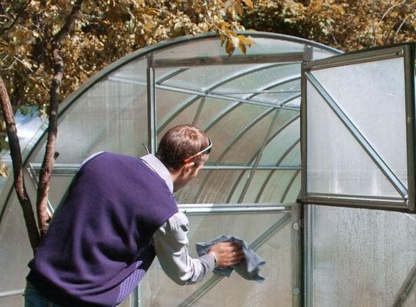 Чем и как нужно обработать теплицу после сбора урожая