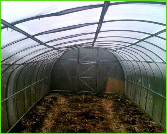 Чем и как нужно обработать теплицу после сбора урожая