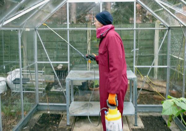 Чем и как нужно обработать теплицу после сбора урожая