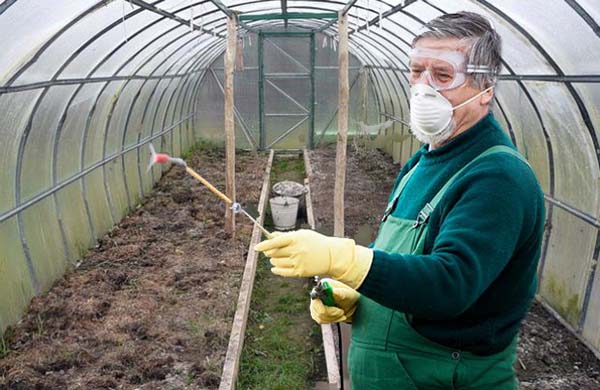 Чем и как нужно обработать теплицу после сбора урожая