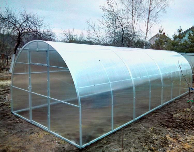 Чем и как нужно обработать теплицу после сбора урожая