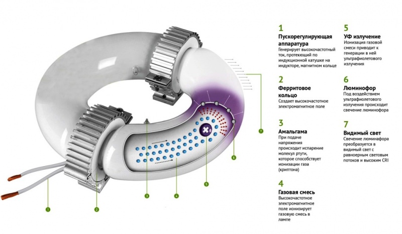 Чем отличаются индукционные светильники от других