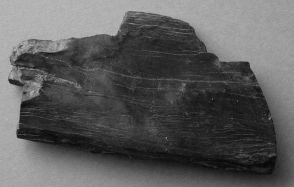 Черные камни: гагат камень мистиков, в чем его особенности и как используется