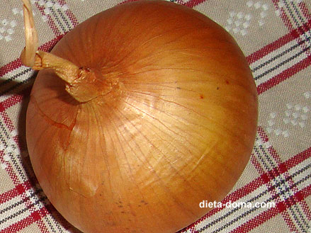 Что полезного в луке