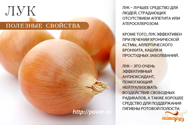 Что полезного в луке