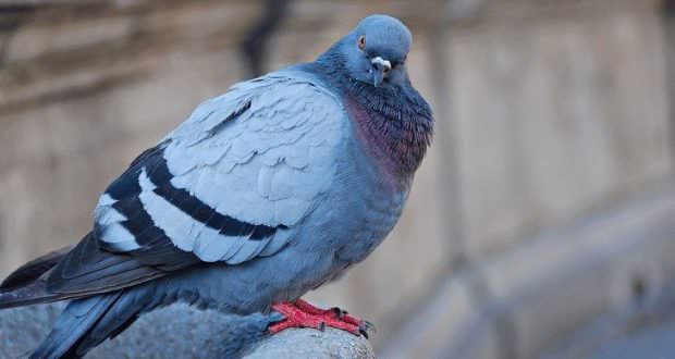 Что приводит человека к унынию: почему оно считается смертным грехом и как правильно избавиться от хандры