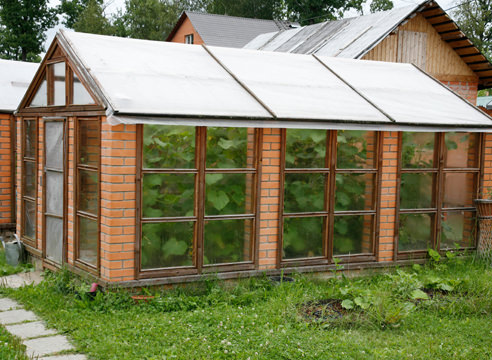 Что собой представляет современная теплица