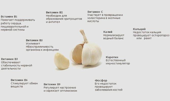Что содержится в чесноке