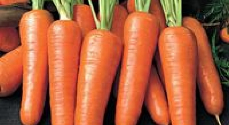 Что содержится в морковке