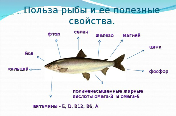 Что содержится в рыбе