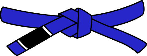 Что такое Джиу-джитсу: пояса по порядку, история и основатель, бразильское и японское