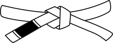 Что такое Джиу-джитсу: пояса по порядку, история и основатель, бразильское и японское