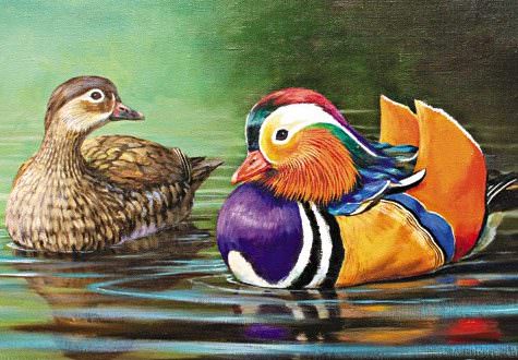 Что такое Раджа йога и почему она так важна для религиозных людей