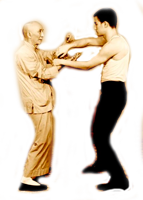 Что такое стиль Вин-Чунь: Wing Chun, Кунг фу, мастера, ушу, история, техника