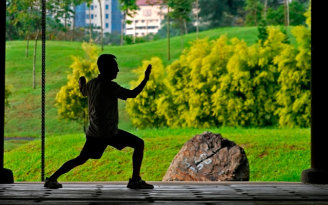 Цигун Ли Холдена : 20 минутный комплекс утром, 10 минутная утренняя зарядка и другие ритуалы