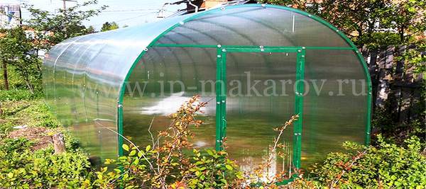 Дачные теплицы: характеристика, достоинства и недостатки популярных разновидностей
