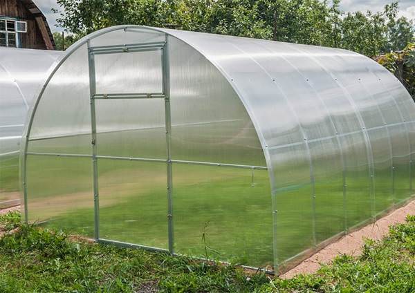Дачные теплицы: характеристика, достоинства и недостатки популярных разновидностей