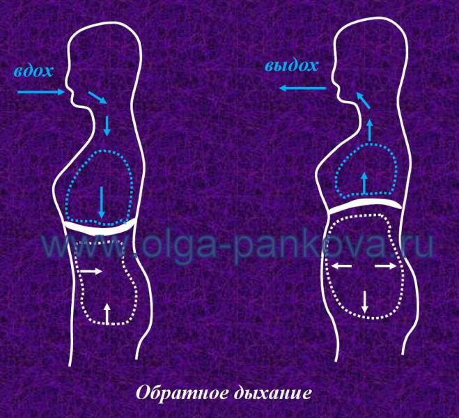 Даосские секреты любви: что это такие и как практикуется, техника брюшного дыхания, энергия Ци