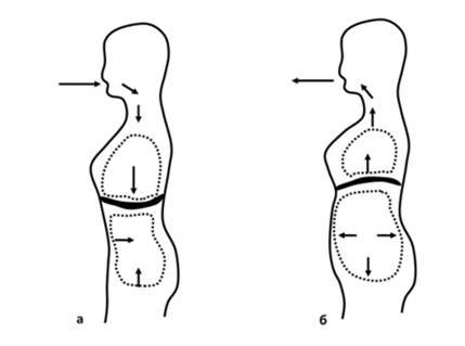Даосские секреты любви: что это такие и как практикуется, техника брюшного дыхания, энергия Ци