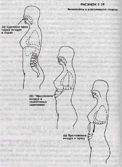 Даосские секреты любви: что это такие и как практикуется, техника брюшного дыхания, энергия Ци