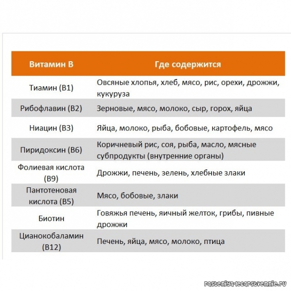 Дефицит витаминов группы в симптомы