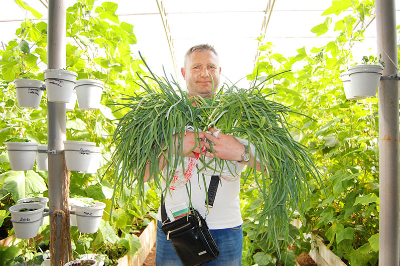 Действительно ли солнечный вегетарий является уникальной теплицей нового поколения?