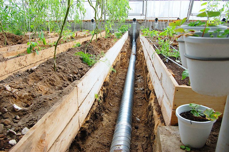 Действительно ли солнечный вегетарий является уникальной теплицей нового поколения?