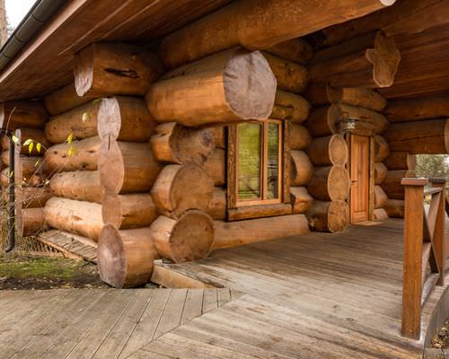 Дерево для бани – секреты древности – всё о банях