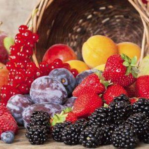 Диета при тромбофлебите глубоких вен нижних конечностей