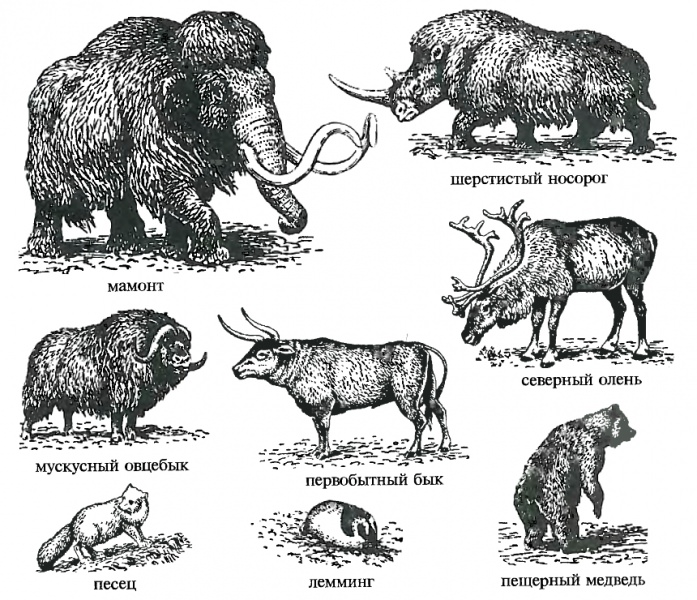 Доисторический период человечества — история России