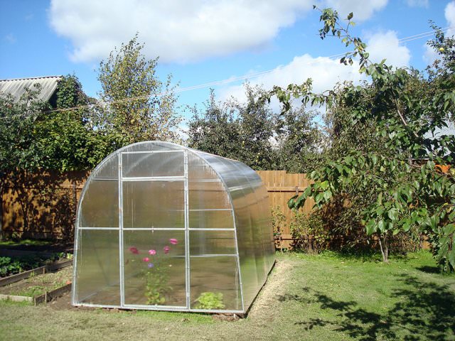 Достоинства теплицы «триумф»