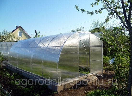 Достоинства теплицы «триумф»