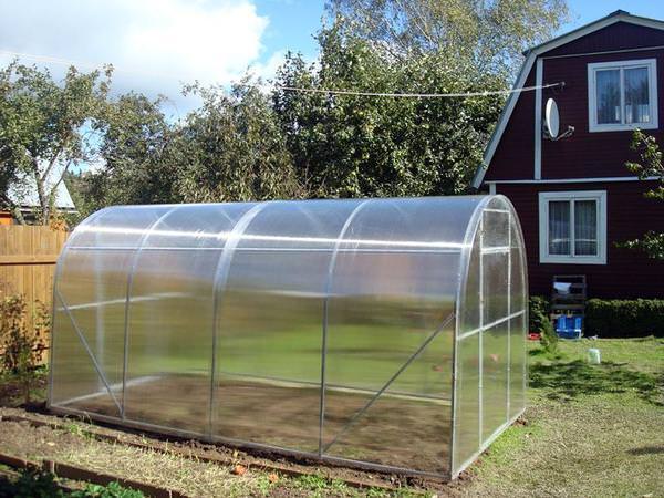 Достоинства теплицы «триумф»
