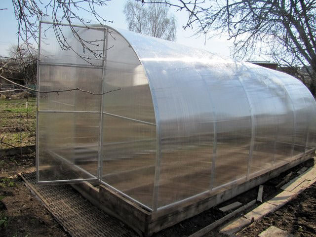 Достоинства теплицы «триумф»