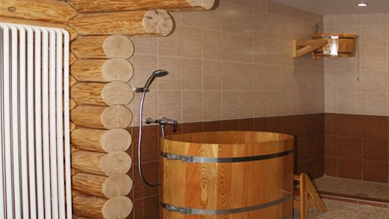 Душевая в бане: как выбрать подходящий вариант – всё о банях