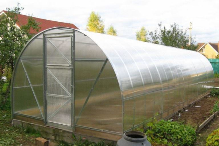 Эко теплицы: преимущества и правила монтажа