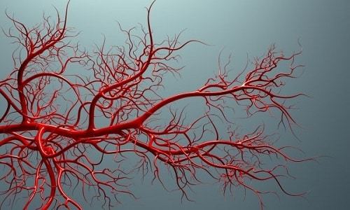 Эскузан и флебодиа: что лучше и в чем разница (отличие составов, отзывы врачей)