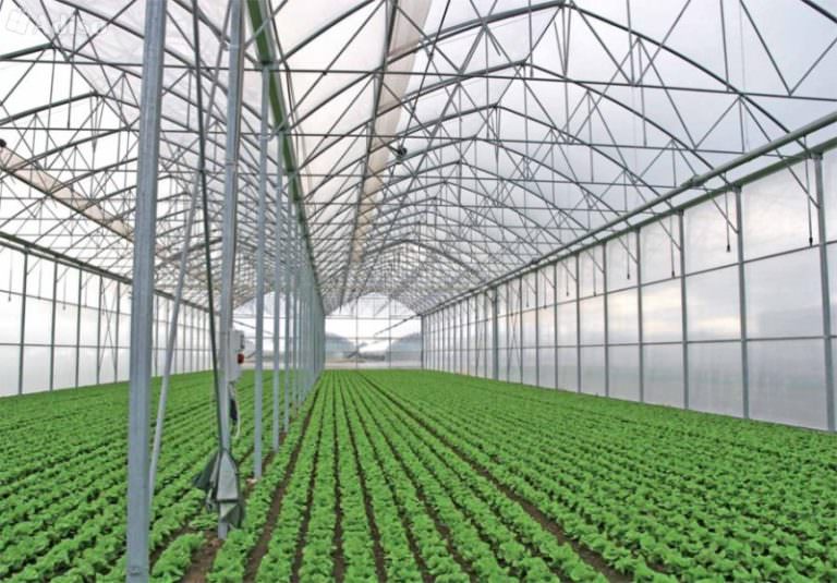 Фермерские теплицы: характеристика, преимущества и недостатки основных видов