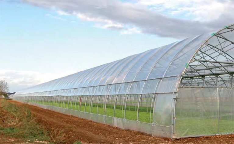 Фермерские теплицы: характеристика, преимущества и недостатки основных видов